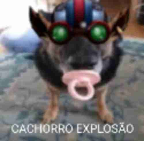 acervoMichelly's tweet photo. #ZIGGS| Bom dia para os solteiros de plantão nesse dia 12 mais que explosivo 💥🧨 
O amor está no ar, mas no meu pulmão só habita pólvora 💥🫶🏽 https://t.co/h09kRnc0g1