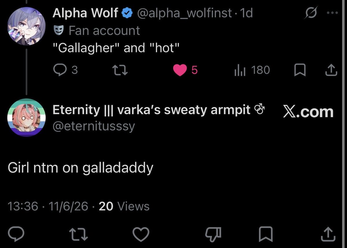 Alpha Wolf tweet media