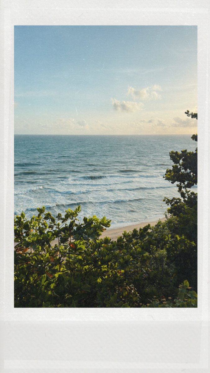 vimalan_94's tweet photo. Postcards from Varkala 🇮🇳 https://t.co/ACom5jRN2z