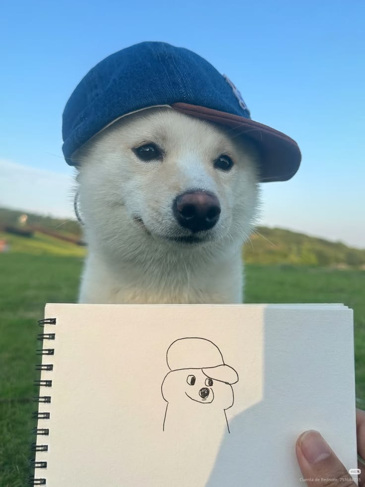 HanZh08's tweet photo. cooldog https://t.co/T4NQcrUYz8