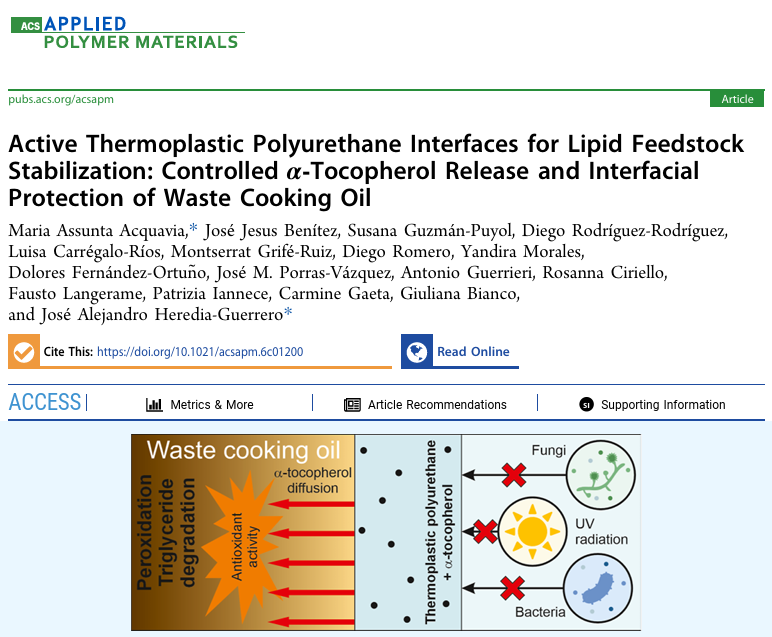 MASLab_IHSM's tweet photo. 📢New paper published!

We investigated food-grade active polyurethane-based films that release α-tocopherol, protecting lipid feedstocks from oxidative degradation.

Work by Dr. Maria Assunta Acquavia during her stay at @IHSM_CSIC_UMA 

https://t.co/gs1sneApBO https://t.co/CFc7MgRNRl
