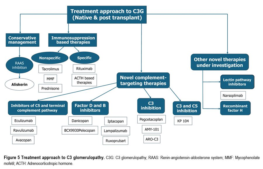 edgarvlermamd's tweet photo. C3 glomerulopathy in transplant “like yet unlike native”: Pathophysiology, recent advances in therapeutics and evolving paradigms ca. 2026 @SaynaNorouzi #Nephpearls

👉 https://t.co/DCiwi98Xkp https://t.co/pPuwBtMlxA
