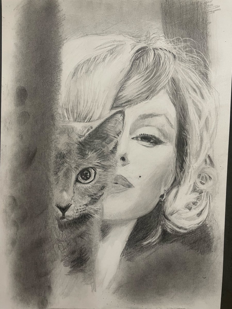 InVtbopOLouFTDp's tweet photo. 鉛筆画3日目__✍️
#マリリン・モンロー #猫好きさんと繋がりたい #絵描きさんと繫がりたい #STAEDTLER https://t.co/zvopTVwizv