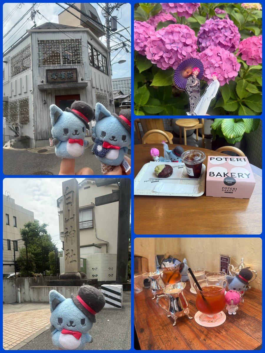 mgshko's tweet photo. 昨日は蓮JAMちゃんとお出かけ✨
久しぶりにalsoでランチしてその後近くの白山神社であじさいまつりをやってたので行ってきました⛩️
いっぱい色々な話しをしたのに話し足りなかった🤣
リフレッシュ出来て楽しかったー https://t.co/g6mjPELSer