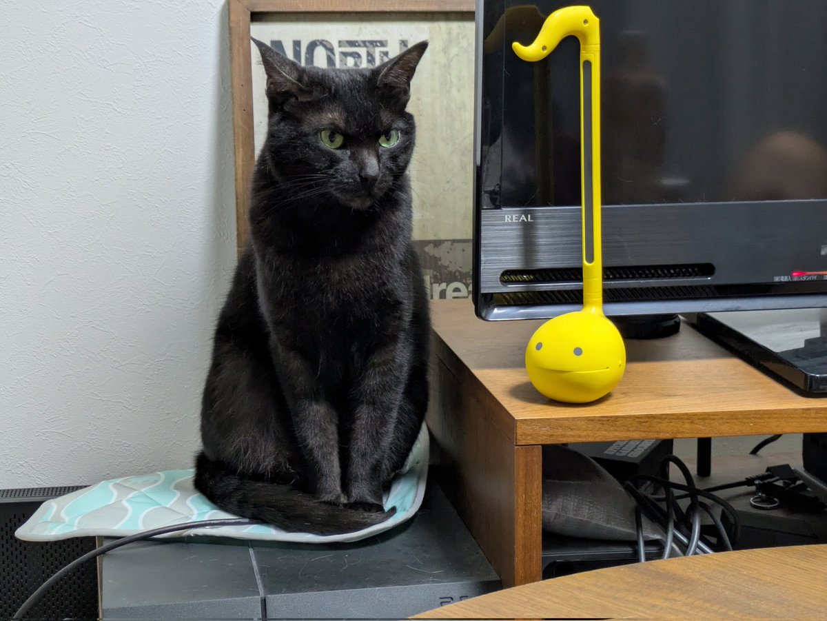 eisukeboig's tweet photo. 黒猫とPS4とオタマトーン
我が家のオブジェです‼️

 #猫のいる暮らし
 #キリトリセカイ
 #ファインダー越しの私の世界
 #プレステも猫にとっては座るもの https://t.co/mP7BCdGFVp