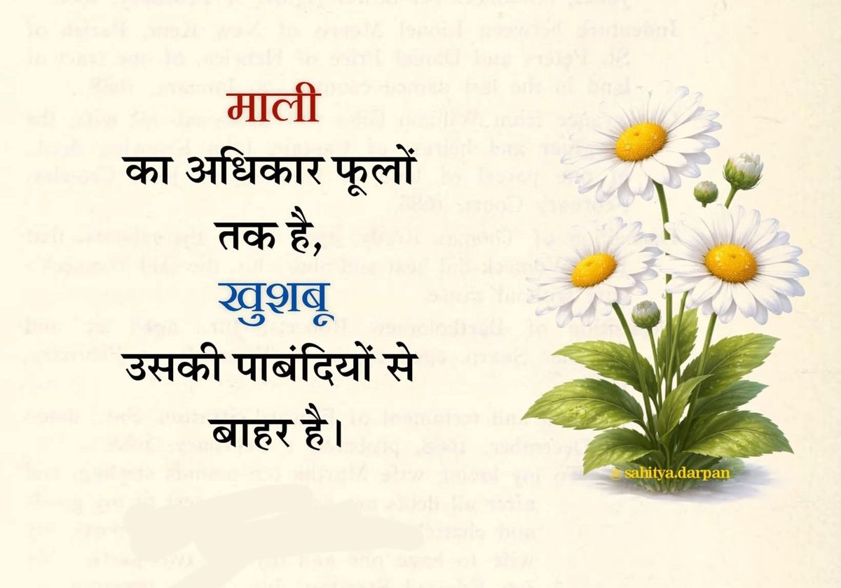 shaktisinghadv's tweet photo. माली का अधिकार फूलों तक है, लेकिन उनकी खुशबू उसकी पाबंदियों से बाहर है।

#फूल #खुशबू #माली #बाग 
#Flower #Fragrance #Scent #ToScent #Gardener #Right #Restriction #garden https://t.co/YFUc81ZEeF
