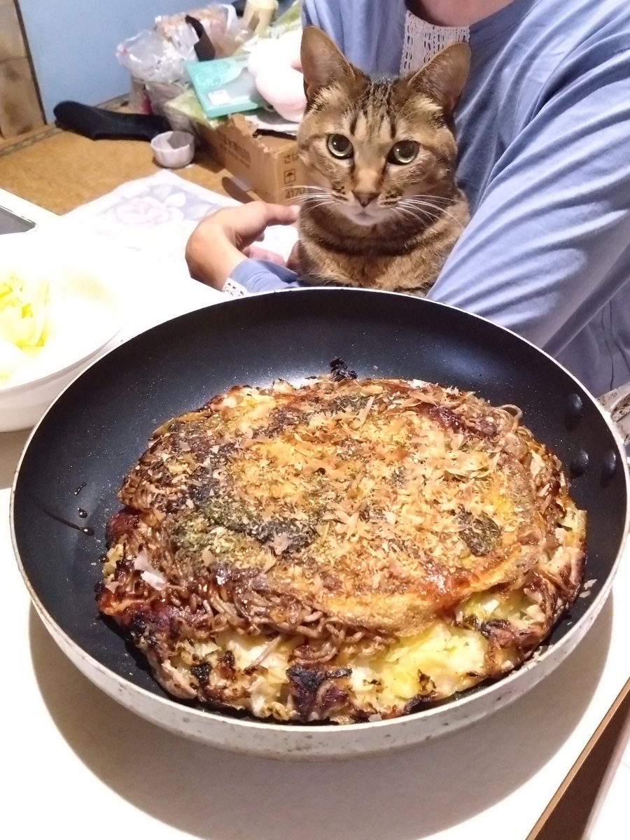 heayan_jp's tweet photo. 夕飯なう。
お好み焼きです。 https://t.co/emrhvqjhC3