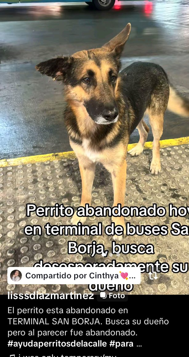 FNovacovich's tweet photo. Por favor compartir 🙏🙏🙏🙏 https://t.co/r6NJgdAiOM