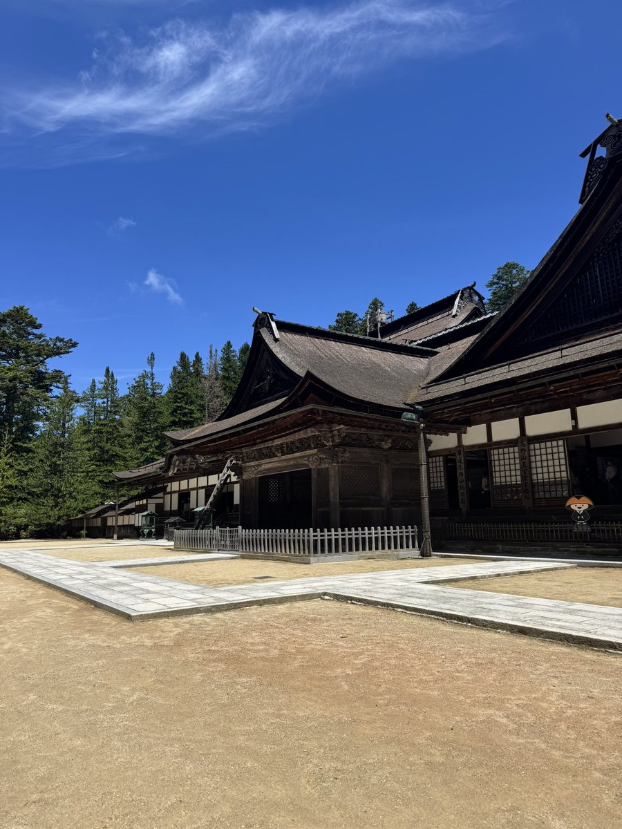 nekusarigami's tweet photo. 充実した自然界隈三昧の三連休終わっちゃう

初川泳ぎで夏本格的に始まりました https://t.co/Mw9yViaTGH