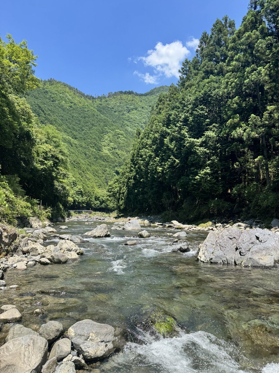 nekusarigami's tweet photo. 充実した自然界隈三昧の三連休終わっちゃう

初川泳ぎで夏本格的に始まりました https://t.co/Mw9yViaTGH