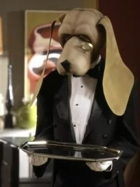 duddlthereaper's tweet photo. dog butler https://t.co/tG0OAPDWbR