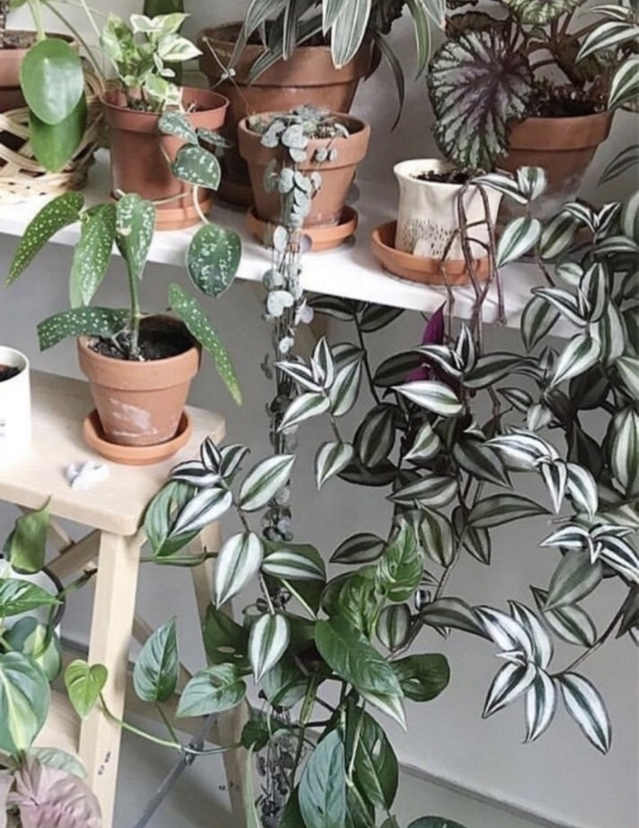 cecampelo's tweet photo. Just made this super cute macramé plant hanger for my window! All you need is some cotton cord u0026 basic knots. So satisfying to create something functional and pretty  What’s your next DIY project， https://t.co/XSJ2T6GEdb