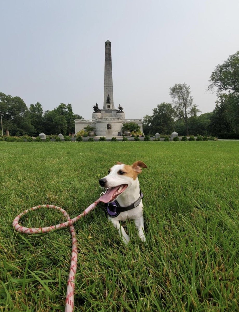 GoRVing's tweet photo. Meet Annie Oakley, our Pet of the Week! 👑 This 3-year-old Jack Russell is the “Queen of the Winnebago” and loves to explore and make new friends. Want your pet featured? DM us! #RVPets #PetOfTheWeek #RVLife #GoRVing https://t.co/TvqqPryRFc