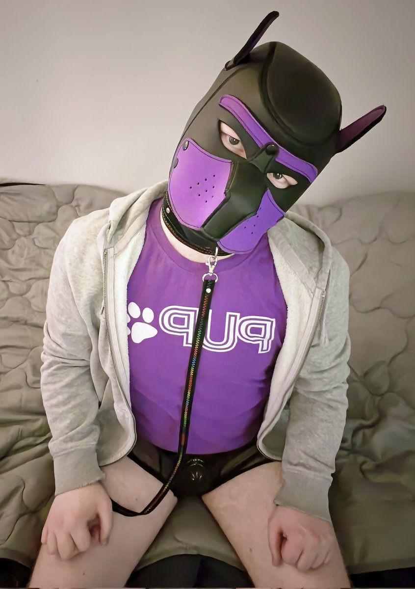 beta pup tweet media