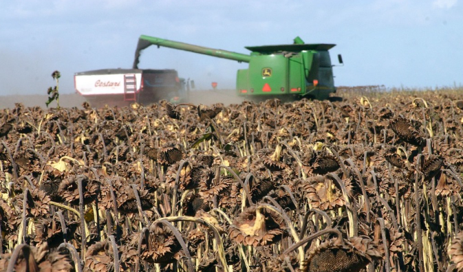 jpreciadopatino's tweet photo. Lo del #girasol 🌻no para: ahora #china 🇨🇳también está comprando #aceite y #harina de la Argentina. Además de #sorgo y #cebada, dos granos que usualmente importa, más la novedad del #maíz 🌽, en el line up aparecen 12K de aceite de girasol alto oleico y 6,5K de harina. https://t.co/0ecw1Bjad7
