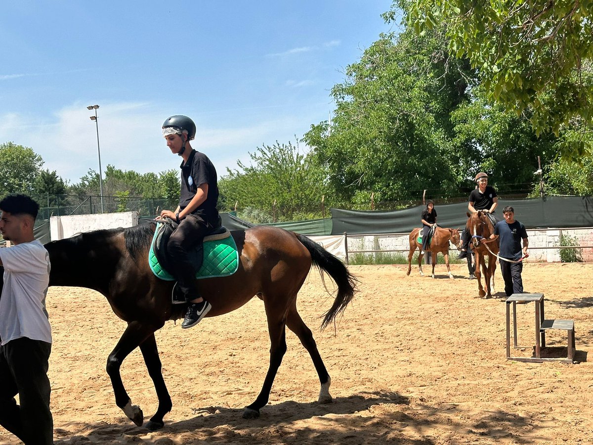GbbGenclikSpor's tweet photo. Binicilik eğitimlerimizle bugüne kadar binlerce gencimizi atlarla buluşturduk. 🐎

Gençlerimiz bu süreçte hem yeni deneyimler kazandı hem de özgüvenlerini geliştirerek unutulmaz anılar biriktirdi. 🌿 https://t.co/9QDMXSWJRc
