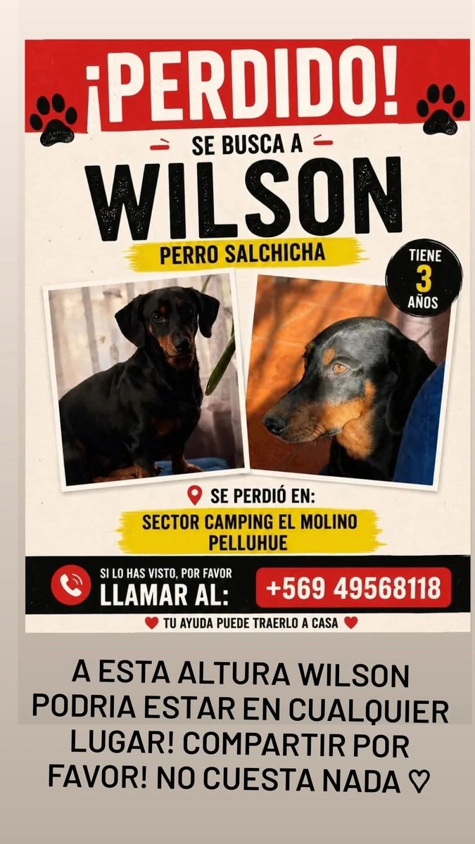 Salchichas_cl's tweet photo. Atención #Pelluhue buscan a Wilson. Favor RT! Gracias https://t.co/JZyzUl7B4R