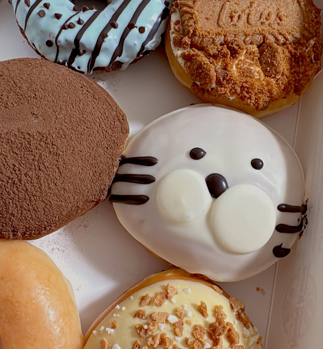 sakegog's tweet photo. こいつアザラシだけど、ちょっとホワイトタイガーみもあって可愛い🍩 https://t.co/WLQ1GVYPhJ