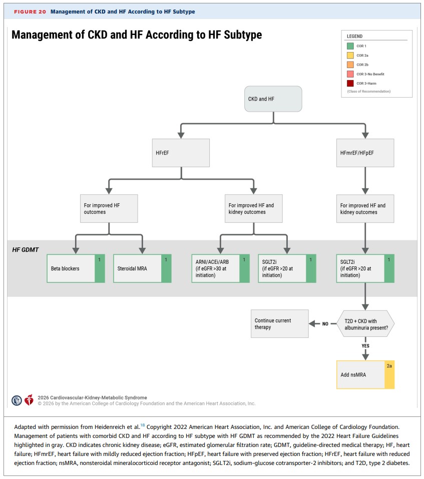 edgarvlermamd's tweet photo. Guideline for the Prevention, Detection, Evaluation, and Management of Cardiovascular-Kidney-Metabolic (CKM) Syndrome ca. 2026 from @American_Heart @ACCinTouch @AmDiabetesAssn @ASNKidney 
#Nephpearls #Cardiorenal

👉 https://t.co/3vJ2Ik6EeA https://t.co/LluqGAaR3L