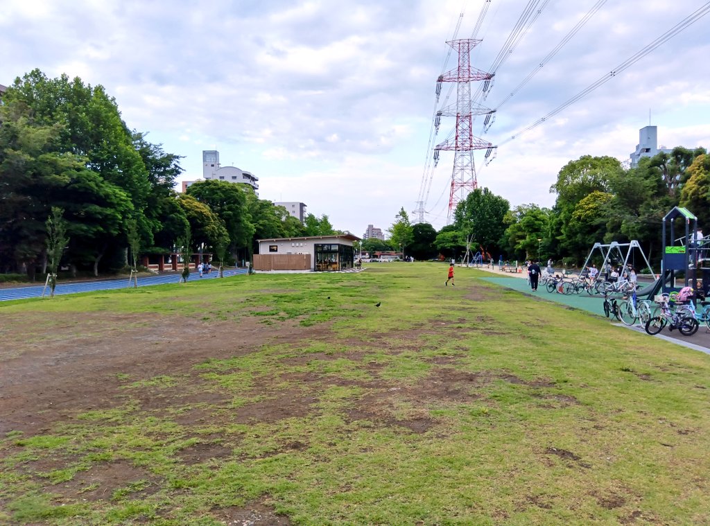 ASOBO会フリマ⏭6.14えどがわやさしいマルシェ🎪8.23新田はらっぱ公園🍃中葛西七丁目🚏 tweet media
