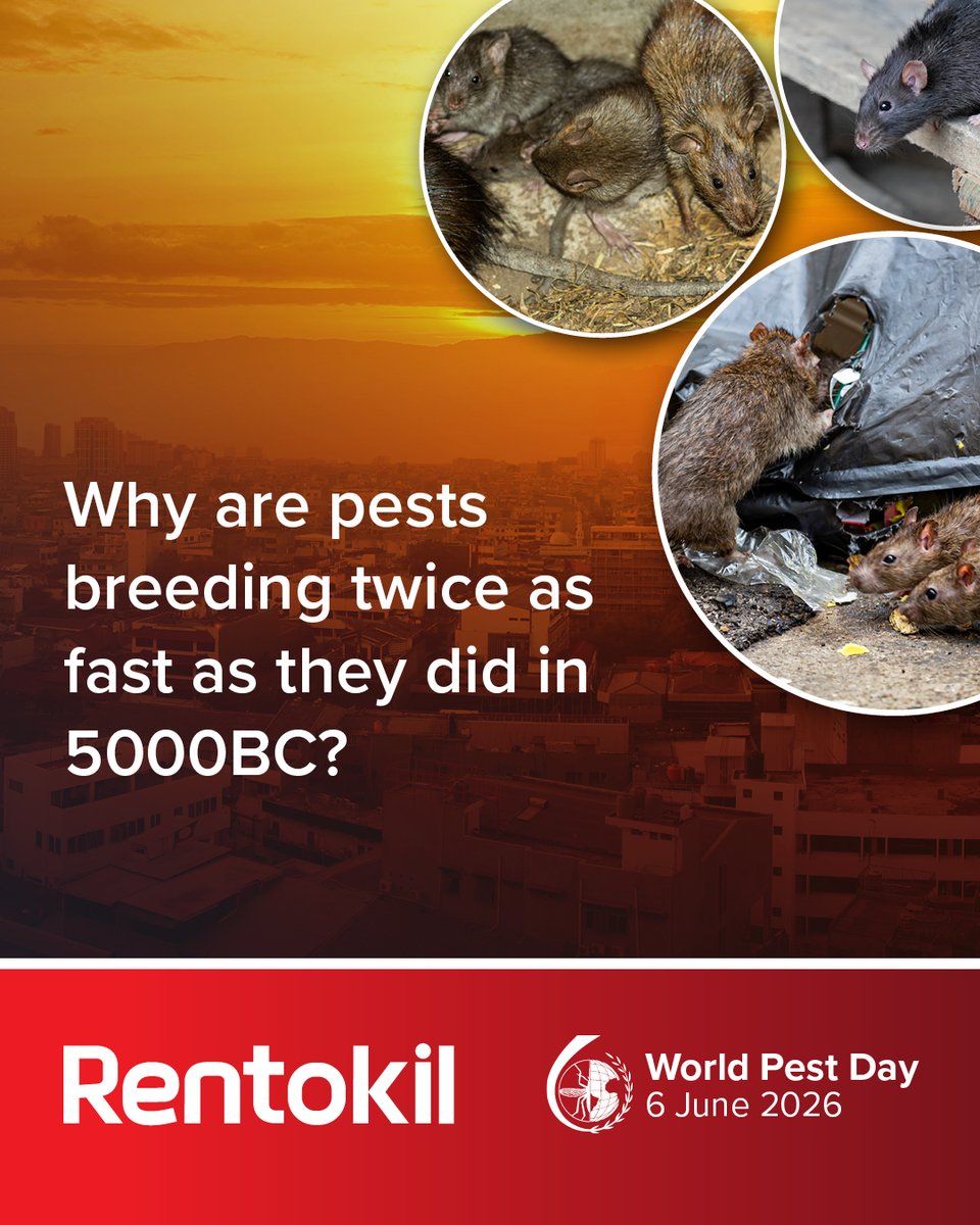 RentokilInitial's tweet photo. "Urban pests are more likely to have multiple breeding seasons per year as a result of increasing temperatures," explains Matt G, Principal Entomologist. "We might, for example, see rats having 6 litters per year more frequently rather than the 3–6 average". https://t.co/f5NU013Hce