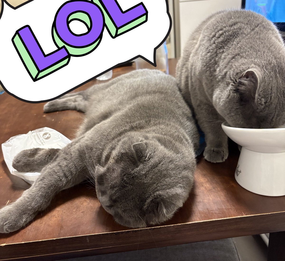 Kunio_man's tweet photo. 仲良そうに見えるけど多分この前に揉めてる https://t.co/knD7Q3SlUR