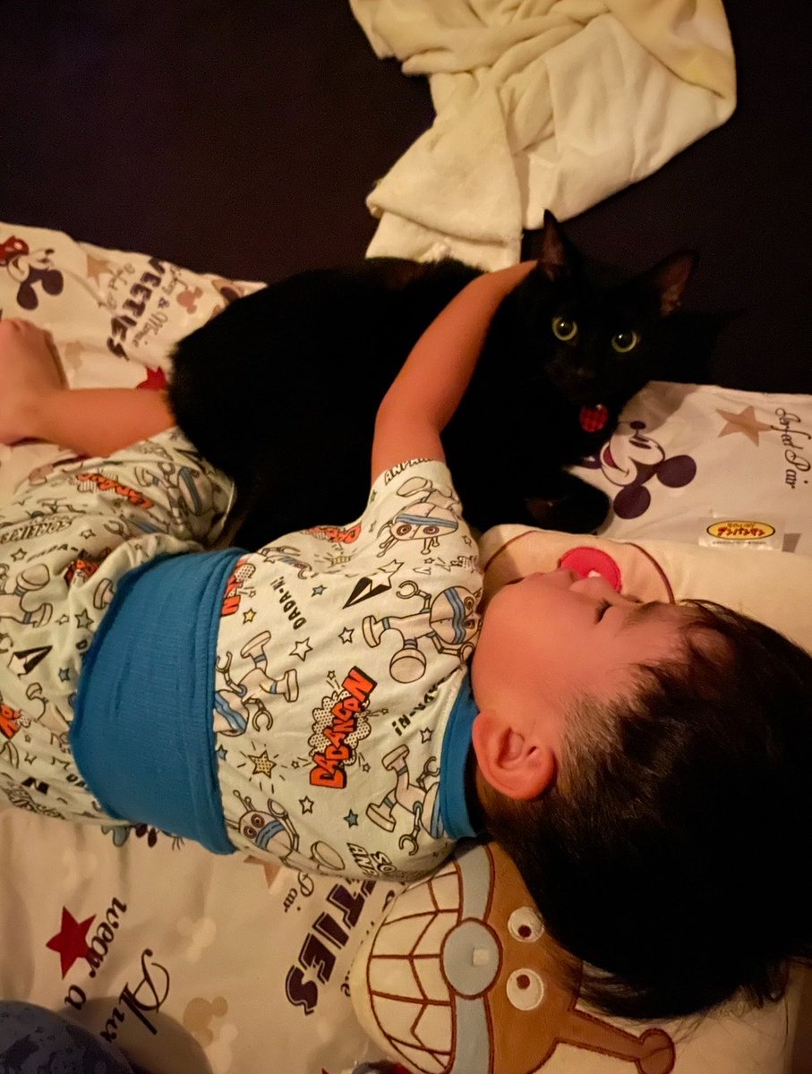 R453374510 tweet picture