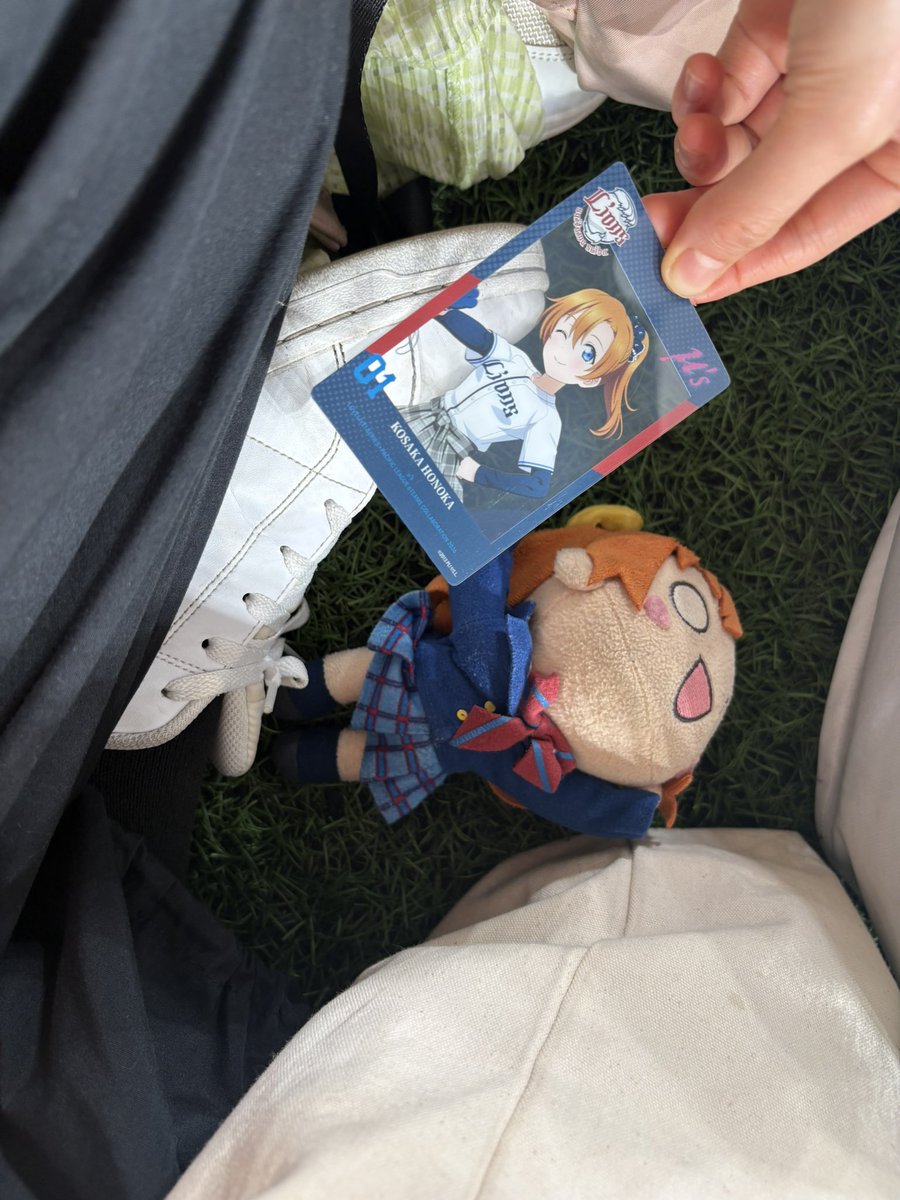 hidamarble210's tweet photo. ほのか、ベルーナの芝生だよ

#lovelive
#seibulions https://t.co/FDX6VYYUsE