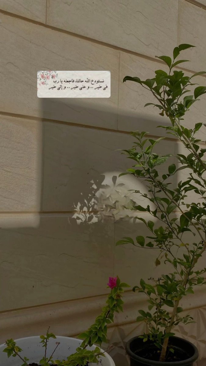 sama_az3's tweet photo. #يوم_الجمعة 

من أعظم مطالب الدنيا أن تُكفى همك ، ومن أعظم مطالب الآخرة أن يُغفر ذنبك ، وهما مضمونان في كثرة الصلاة على النبي .. 
#اللهم_صل_وسلم_على_نبينا_םבםבﷺ https://t.co/mKHYZsB7Xz