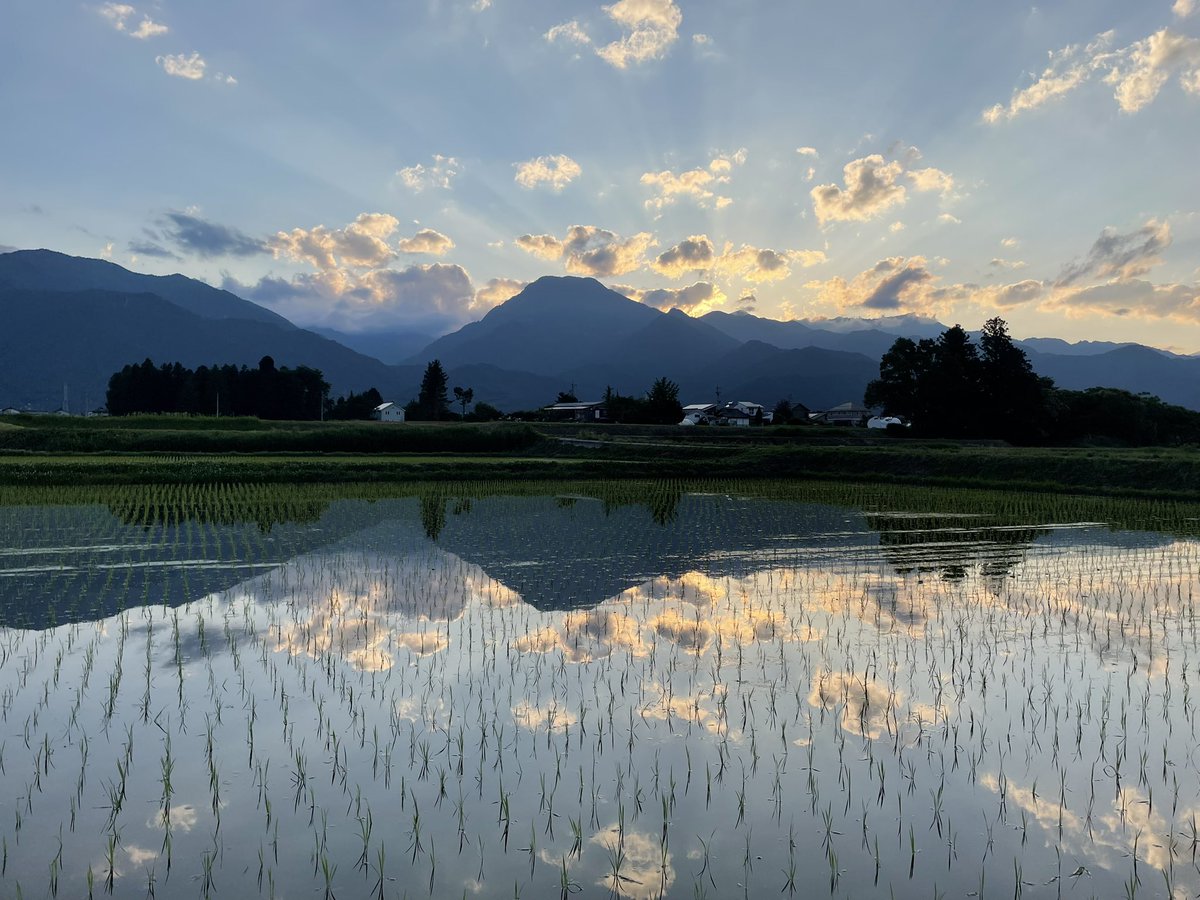 chinyato's tweet photo. 夕方の有明山と水田の鏡像。 https://t.co/bBXYWM93NY
