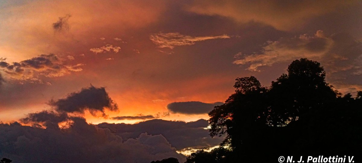 NJPallottiniV's tweet photo. Atardecer del jueves.
san Cristóbal - Venezuela.
#atardecer #sunset #sunsetphotography #capture #picture #nature #photo #sancristobal #tachira #venezuela #ocaso #postal https://t.co/r2ALzTva6F