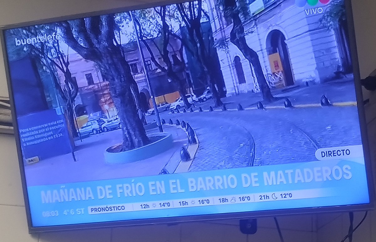 leo_thelizard's tweet photo. Que novedad https://t.co/hAMxFPlPiy