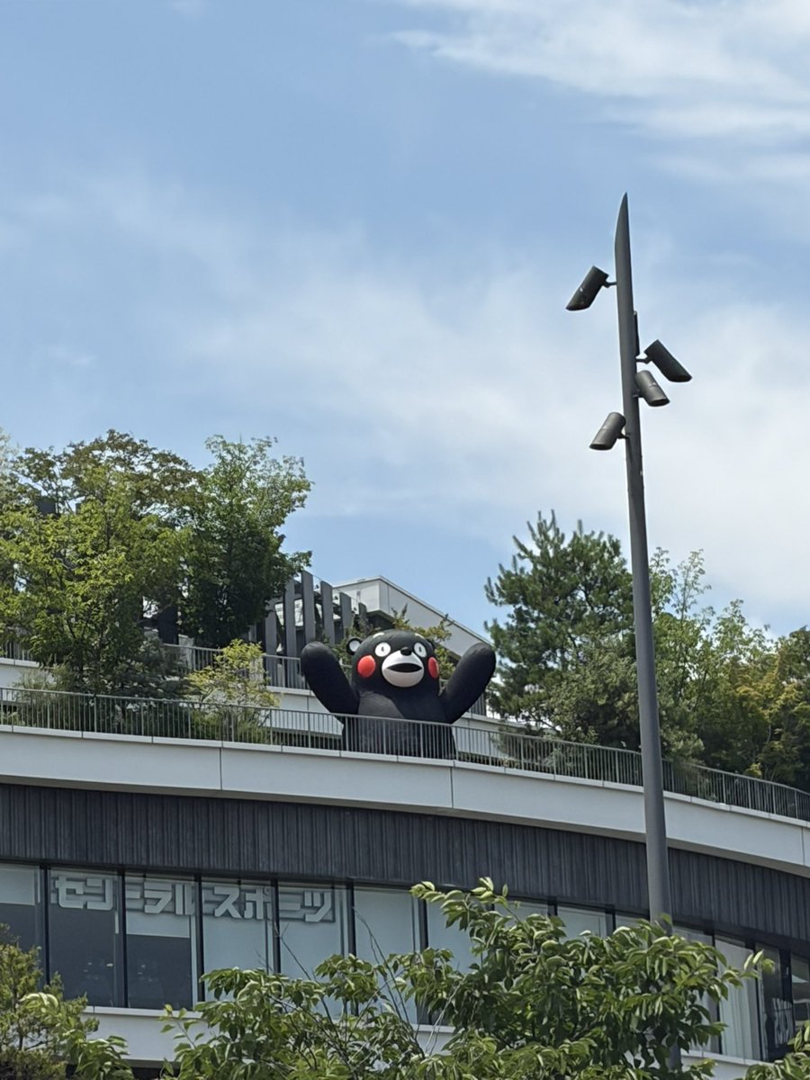 panbons's tweet photo. 『サイバーコネクトツー展』IN熊本

土曜日10時〜20時
日曜日10〜16時
サクラマチクマモト
2階イベントスペースにて
開催です

熊本城が見える場所
くまもんがいっぱいいる場所です♪

ぜひお越しくださいませ

#熊本県
#二つ目の県 https://t.co/93c0E2TqFS