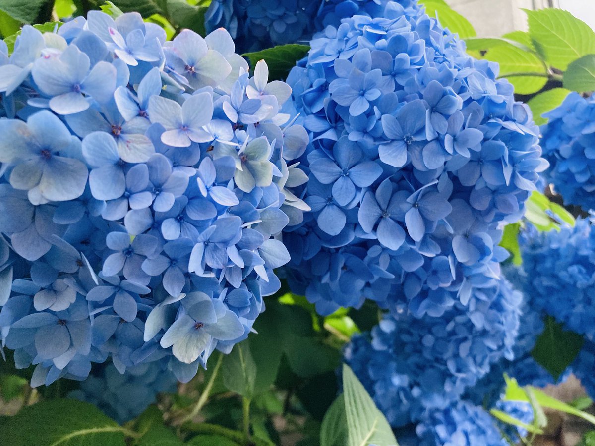 Tomo_1968's tweet photo. 今日は我師匠、青木智仁の命日であり誕生日です
20年か…
墓前で1曲ベースでオリジナルを聴いてもらい
師匠によく連れて行ってもらったお店でご飯を食べたかったけど…
もやしそば
焼豚麺
タンメン
みな閉店…寂しい…
皿うどん…居抜きで店は変わってたけど、
同じ場所で皿うどん食べられました… https://t.co/9j1uTRED15