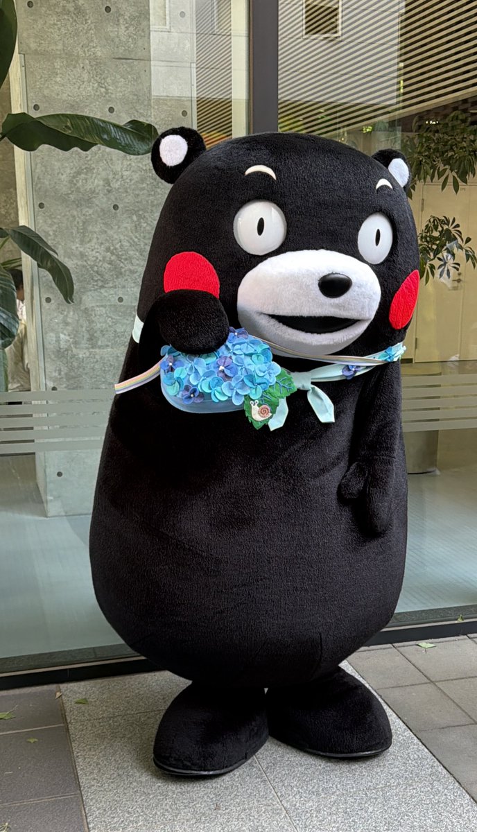 chii_bunko's tweet photo. お兄さん、紫陽花の花言葉知ってるかモン？ https://t.co/Z1ELwxHsc7