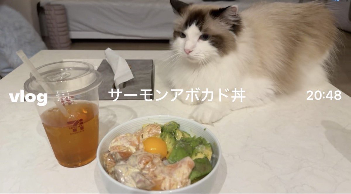 あやみるーむ☽ tweet media