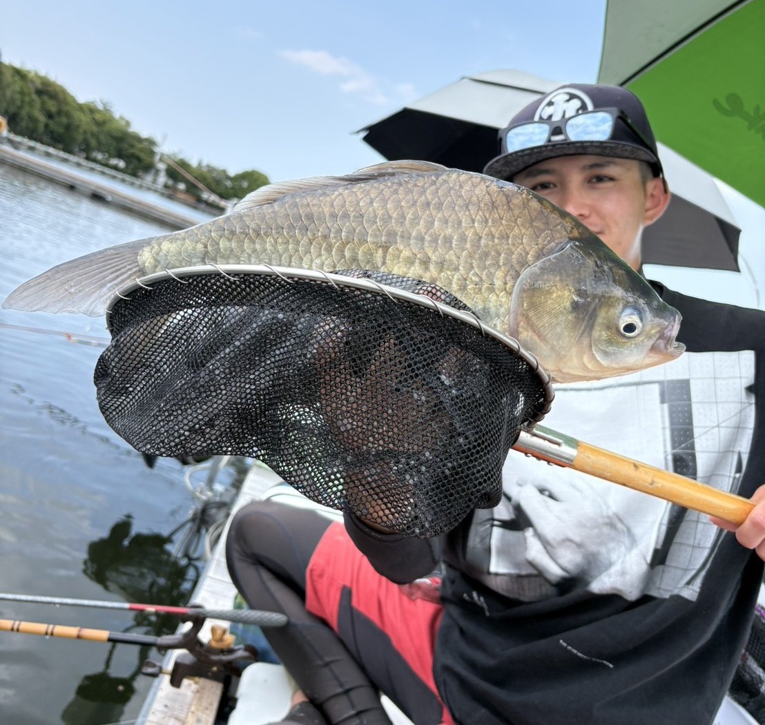 NF_musashi's tweet photo. 椎の木湖フライデーオープン初参加！
悶絶しましたがデカいへら釣れて唐揚げも相変わらずの美味しさで大満足だったのでOKです👍️
#ヘラブナ釣り
#椎の木湖 https://t.co/W2nmFGOPjc