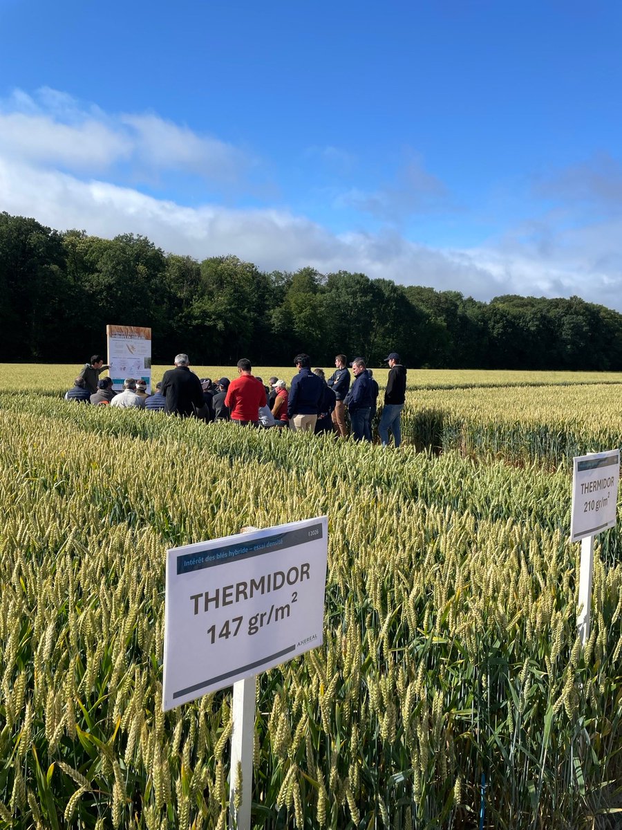 _AXEREAL's tweet photo. 🟢 [En direct] de nos Rencontres Agronomiques de Romilly (41) 

Vous êtes nombreux à être avec nous pour parler agronomie, désherbage, conservation des sols ou encore variétés.

Merci à tous ! 🙏 https://t.co/s8gpQzmlmV