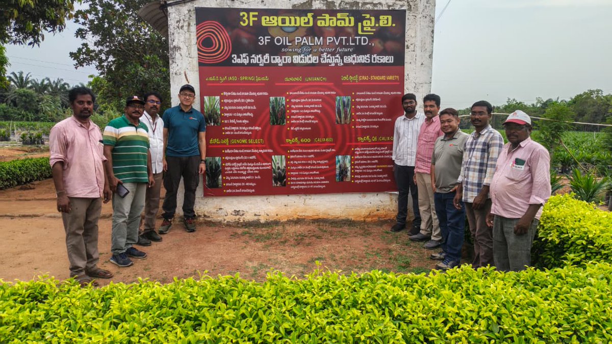 3foilpalm's tweet photo. We hosted Mr. Jason Yeo and Dr. Bin Omar Mohd Hafizul Azlan from Sime Darby Guthrie, Malaysia, at our nursery and Hyderabad office. Discussions focused on hybrid oil palm seeds and partnerships to drive productivity, sustainability, and farmer prosperity.

#3FOilPalm #OilPalm https://t.co/kz4mZT9t4t