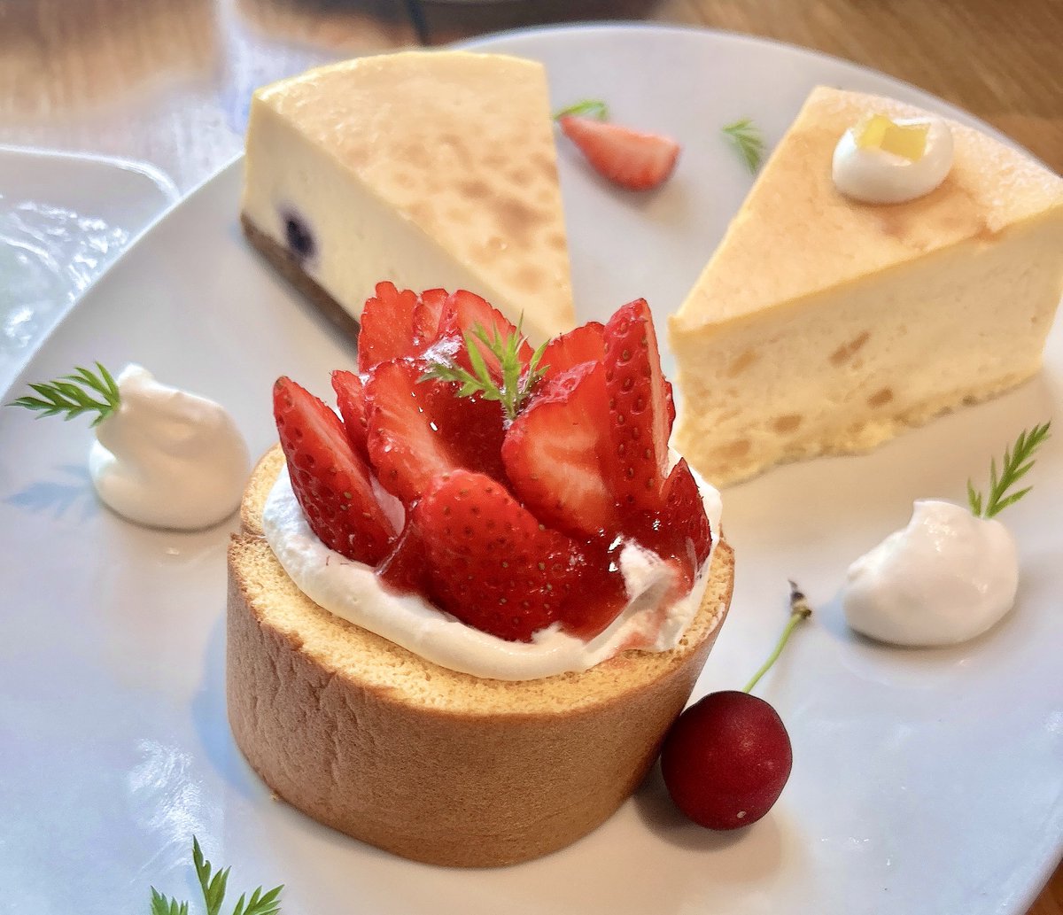 SecretLilium's tweet photo. ねむい。めちゃくちゃ眠い(*ｐω-)｡O゜
やばい。うわああああ https://t.co/1y04Ppv1qb