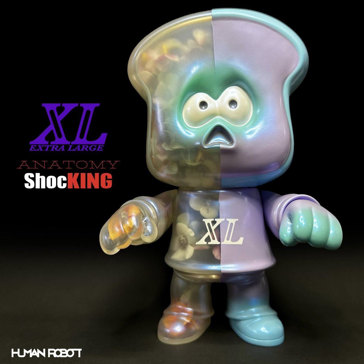 XL limited】 ShocKING/Anatomy(Rainy season) ¥30,000(税込) -XL