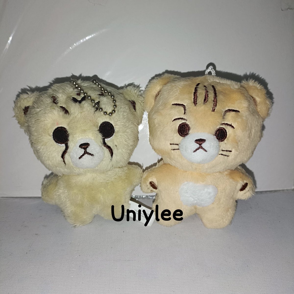 uniylee's tweet photo. wts doll mark lee cheetah tag putih dan yang kanan gatau apa 

offer aja sesuai budget aku gatau harga pasarannya 😭
dom jkt https://t.co/PtWmSv55Sc