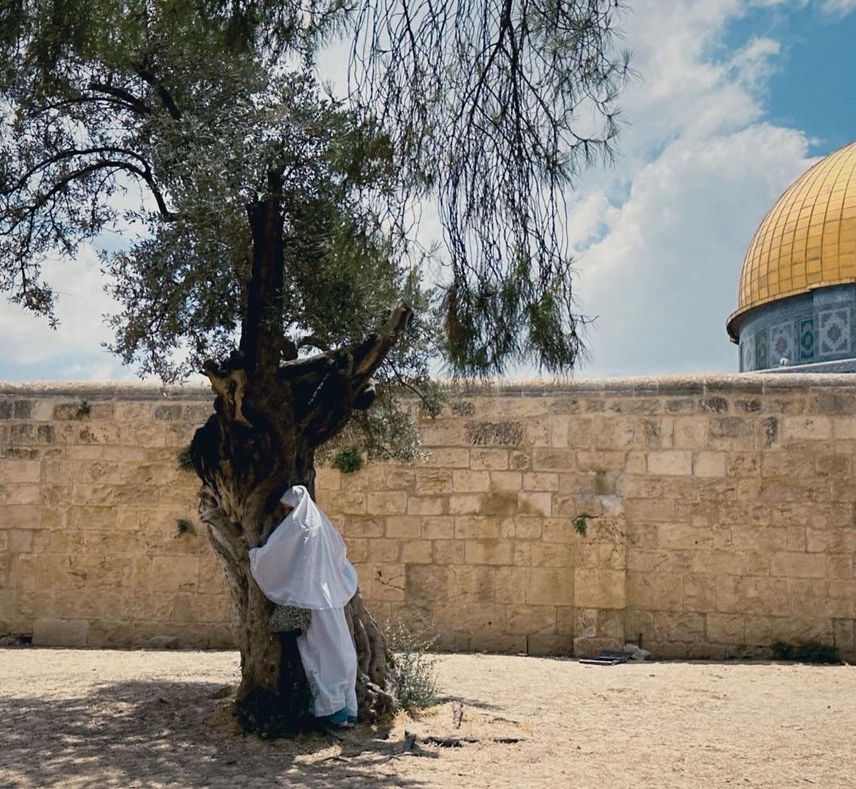 Rima🇵🇸 #FreePalestine 🍉 tweet media