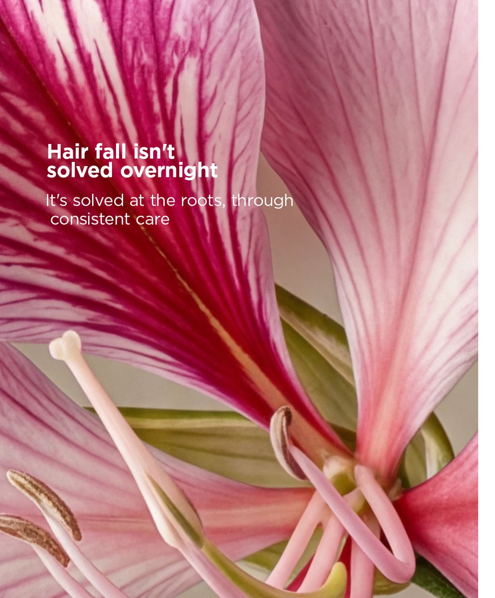 Biotique_World's tweet photo. A zero-hair fall story isn’t magic!
Tired of shampoo trials? Maybe it’s time you dig a level deeper.​

Powered by Mountain Ebony, our serum stands on the way of you and hair fall, toning scalp, strengthening the roots.

#BiotiqueWorld #Ayurveda https://t.co/GhonwEaGf1