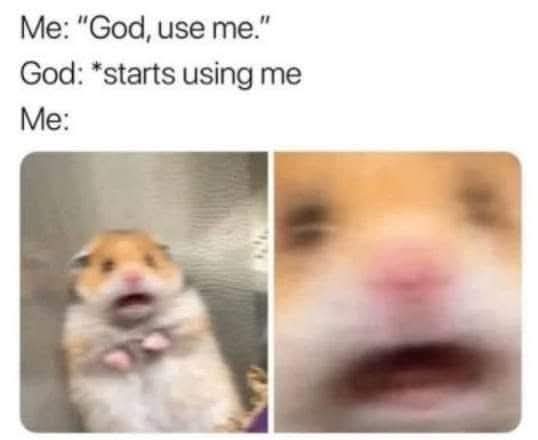 simplecatholic1's tweet photo. 🫣😳😄🙏 https://t.co/AD8dRtR3Ts