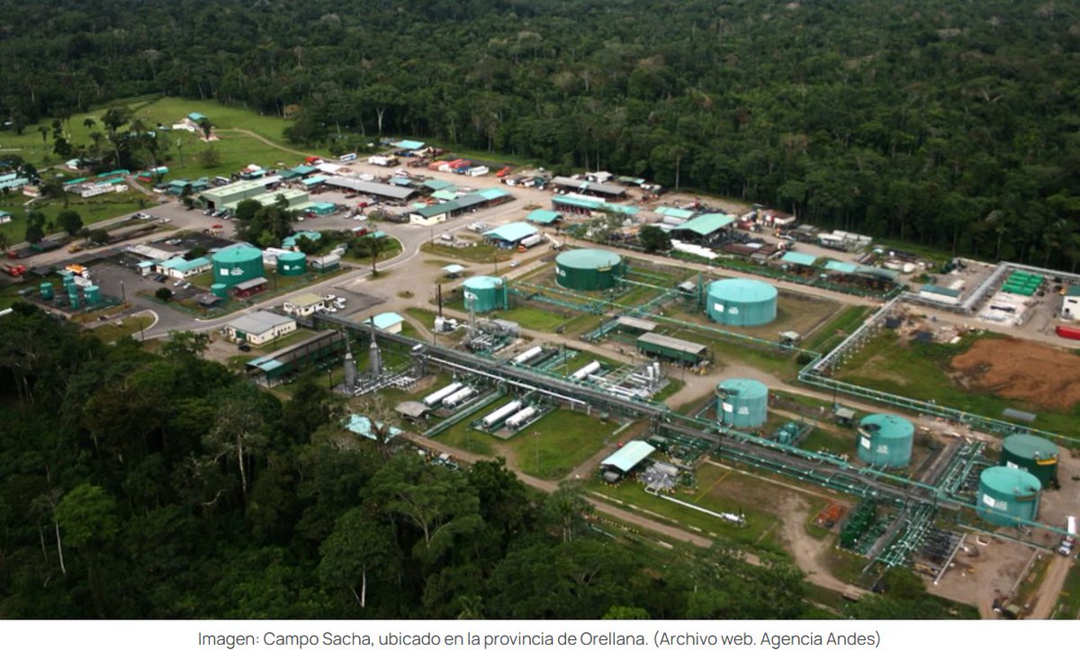 dolarizacionEc's tweet photo. Atención! Sacha estaría por entregarse a capital emiratí, respaldado por el tratado de inversiones (TBI) que incluye arbitraje internacional. 

Sacha (bloque 60-la joya de la corona), uno de los campos de mayor extracción petrolera, con reservas estimadas de 350 millones de barriles de crudo bajo tierra y principal abastecedor de las refinarías que cubren el 20% de la demanda de diésel y 27% de las gasolinas que consume el país (el resto es importado), sería concesionado a capitales emiratíes, amparados por el Tratado de Inversiones (TBI) que incluye arbitraje internacional Inversionista-Estado, por el que Noboa insistió tanto y lamentablemente cedió la @CorteConstEcu.

Bajo la justificación de levantar la producción que en los últimos meses ha sido deliberadamente descuidada pese haberse identificado un nuevo pozo (Sacha 408), tomando en cuenta que es un campo que lleva 54 años de explotación, será revocado de las manos de Petroecuador para que sea trasladado al Ministerio de Energía, y este a su vez, utilizando figuras como “swiss challenge” (para disimular un proceso licitatorio competitivo), termine concluyendo que la mejor oferta fue la ganadora de la concesión. Y esto para que tampoco les genere observación alguna en el proceso de aprobación del Acuerdo de Comercio Recíproco-ACR (que de recíproco no tiene nada) con Estados Unidos. Este ACR, claramente inconstitucional, no hace mucho fue enviado a la @CorteConstEcu para su respectivo pronunciamiento.

En medio de la coyuntura del conflicto internacional, que ya lleva varios meses y que amenaza con agudizarse, en donde el barril de petróleo podría escalar a los USD 150, y con esto el costo de los combustibles, van a entregar el campo petrolero más rentable (segundo intento del gobierno del “Nuevo Ecuador”), garantizando impunidad corporativa vía arbitraje internacional inversionista-Estado. 

Gracias al dictamen de la @CorteConstEcu, los inversionistas emiratíes ahora tendrán la puerta abierta para llevarnos a los centros de arbitraje internacional y plantearnos demandas millonarias.

La pregunta que nos hacemos propios y extraños es todo esto a cambio de qué?!