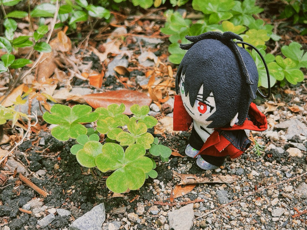 M_eal__'s tweet photo. 🍀 https://t.co/FnVwzzRe0F
