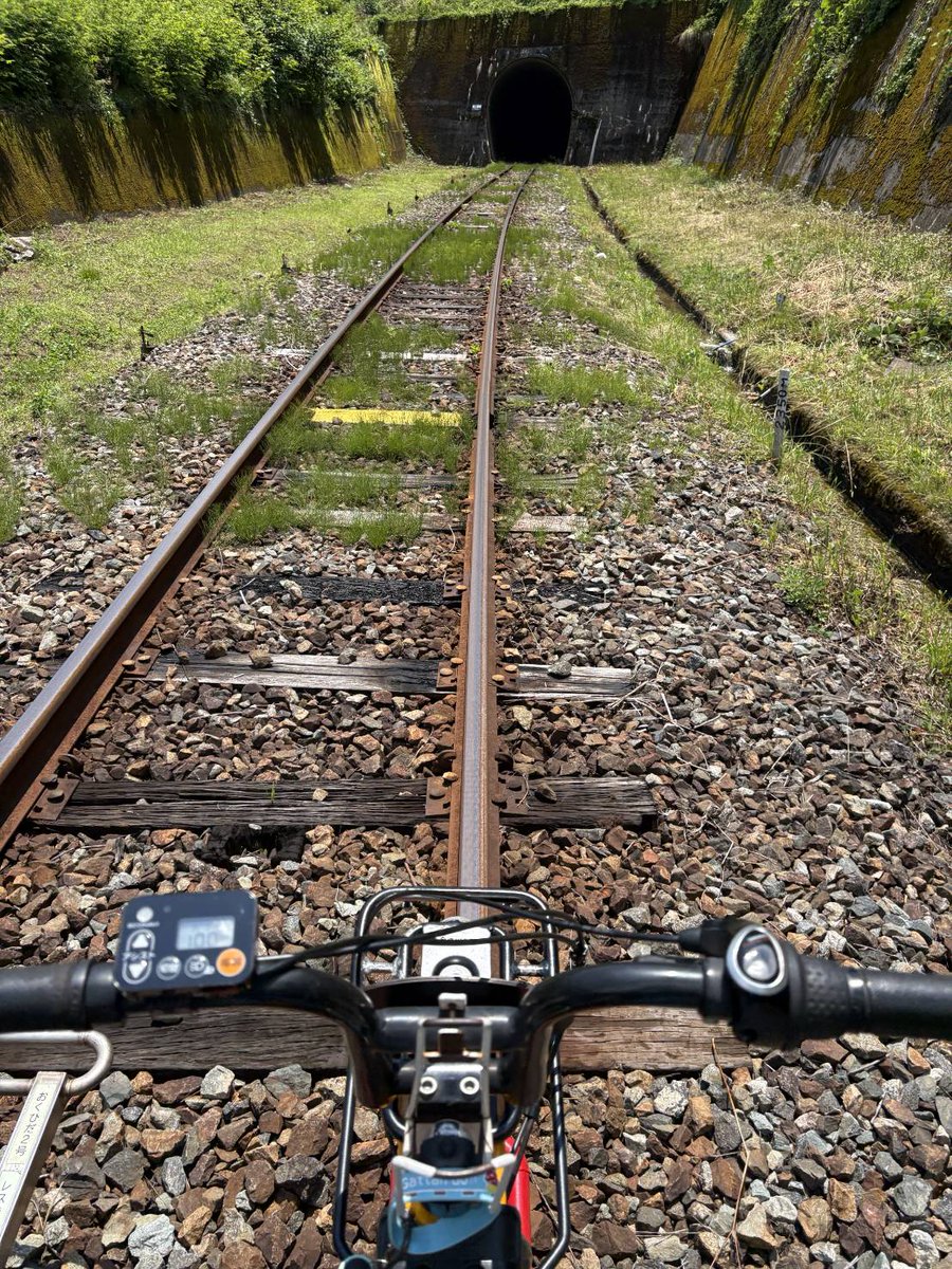 odakeis2's tweet photo. レールマウンテンバイク、｢ガッタンゴー｣へ。
往復で5.8km、トンネルの1ヶ所��長さは524m。カーブがあり中は真っ暗。レールからの振動と継ぎ目の音は電車そのもの。
スリル満点！
別のコースにも���ってみたい。
#ガッタンゴー
#レールマウンテンバイク
#旧神岡鉄道
#カミオカンデの近く https://t.co/0mMrO2Cg3P