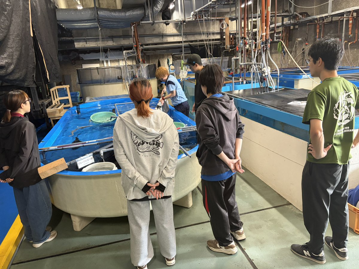 env_reprod's tweet photo. 様々なトラブル続きでしたが…島根@AQUASSHIMANE →長崎へのネコザメ輸送ミッション完了しました🦈🦈ありがとうございました！ #長崎大学 #AQUAS #ねこざめ #抗がん剤 #抗体製剤 https://t.co/0vrUaaLo1B