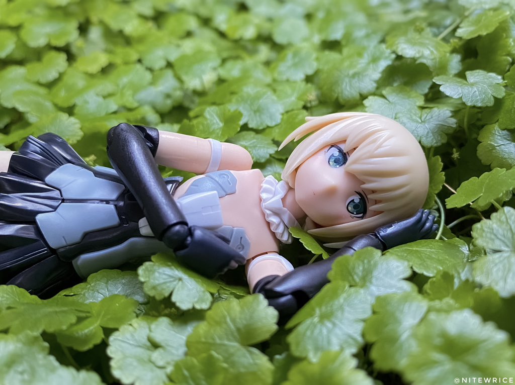 NiteWRice tweet picture